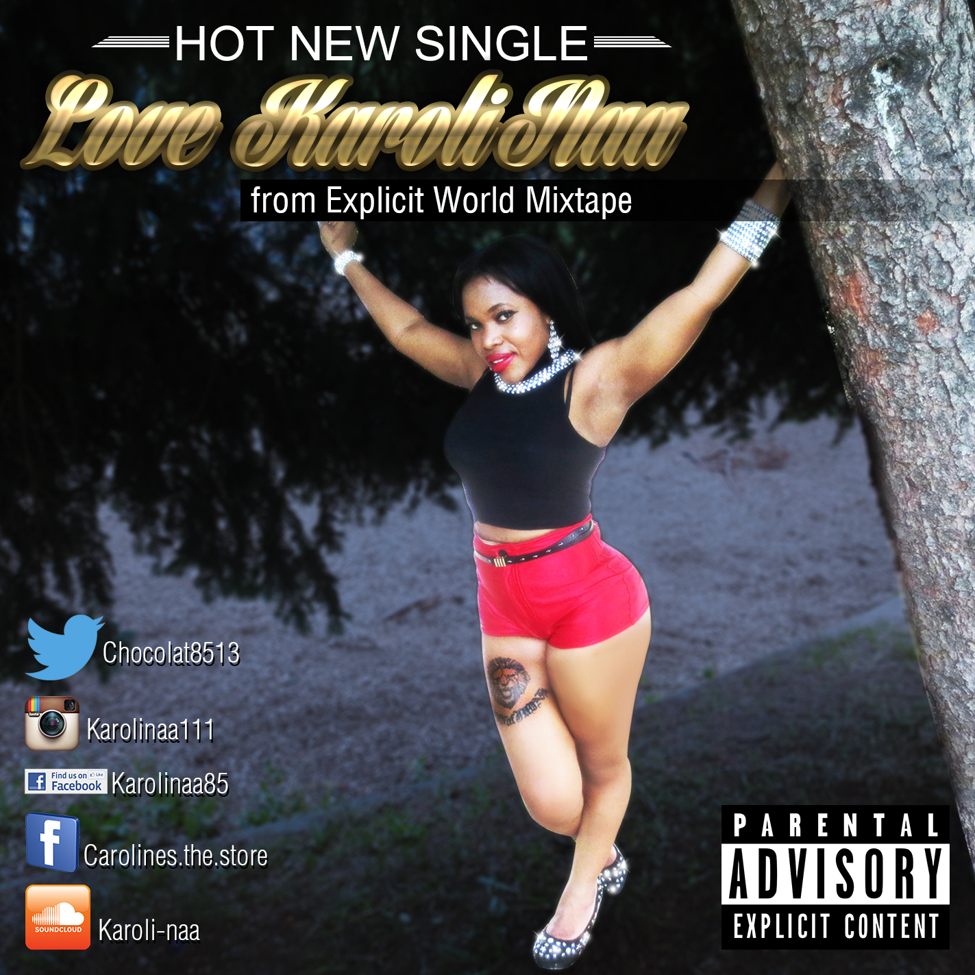 Song TitleDolly addiction official clean (molly remix)