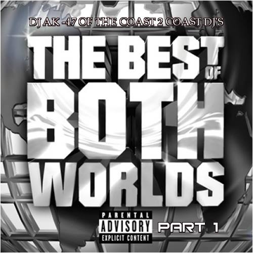 BEST OF BOTH WORLDS VOL.1