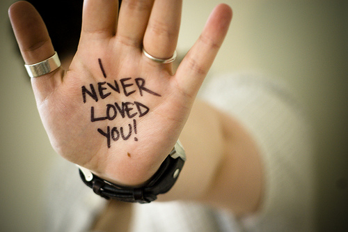 I NEVER LOVED YOU