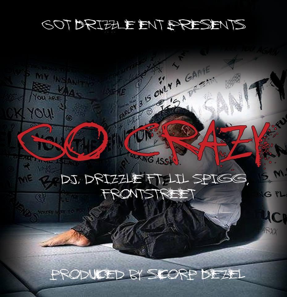 DJ Drizzle - GO CRAZY (Service Pak)
