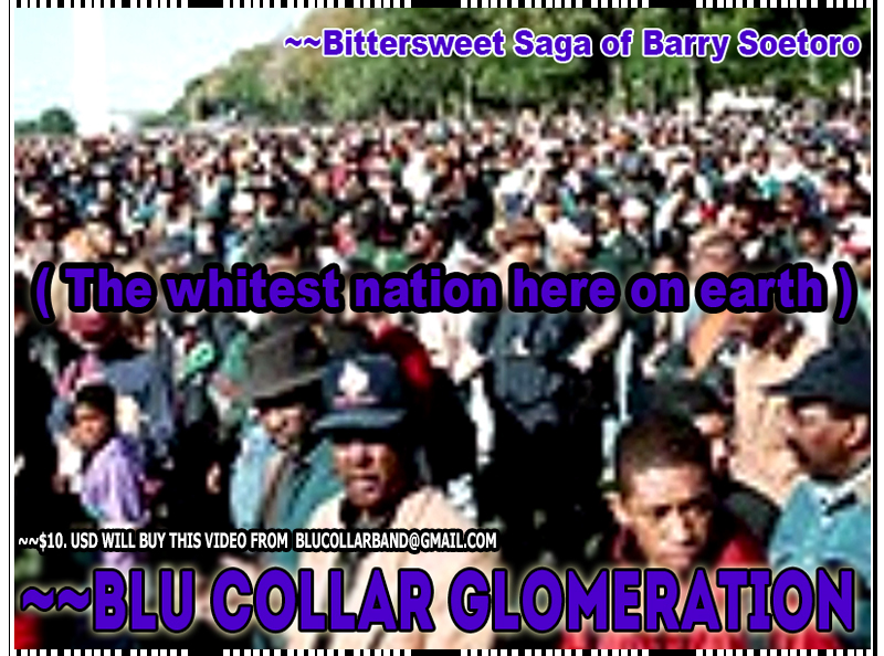 Bittersweet Saga of Barry Soetoro