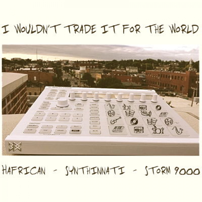 I Wouldn't Trade It For The World