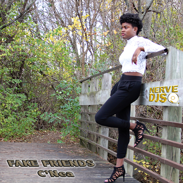 Fake Friends (Dirty)