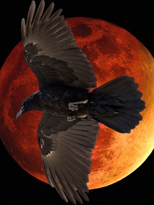 Quote To Raven (Never More)