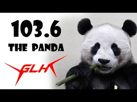 103.6 The Panda