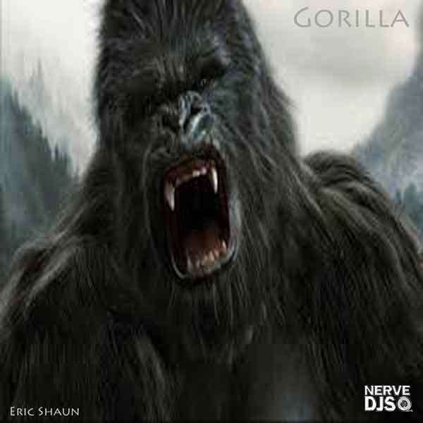 Gorilla (Radio)