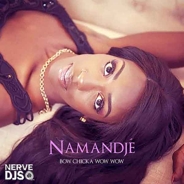 Bow Chicka Wow Wow (Radio)