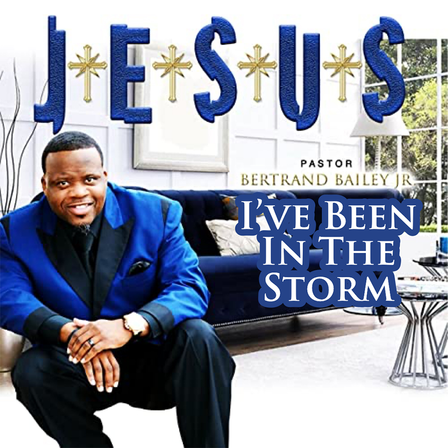 I've Been In The Storm