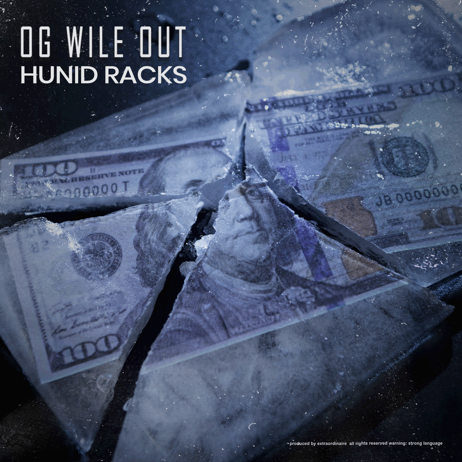 I Spent A Hunid Racks
