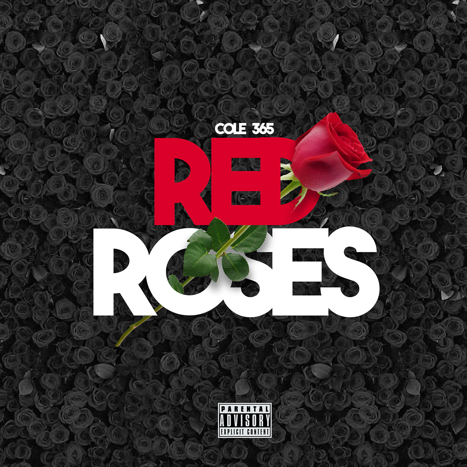 Red Roses
